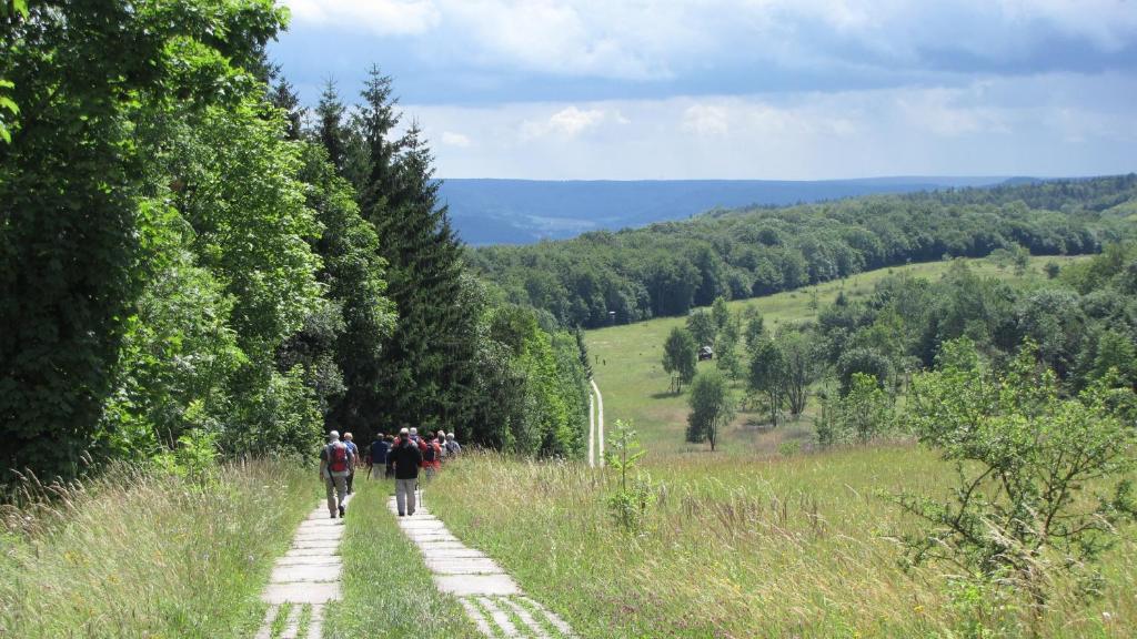 Landhaus Am Westerwald Martinfeld Eksteriør bilde